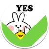 YES