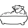 Seleccion Flork 18