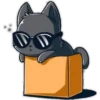 Kittens mix 11