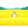 Spoiled Rabbit Spring 14