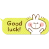 Spoiled Rabbit Balloon Basic Set B 14