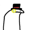 Selección Flork 4 10