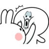Rabbit + Smile Comic Duo 12