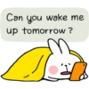 Spoiled Rabbit Contact B 14