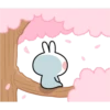 Spoiled Rabbit Spring 16