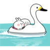 ===