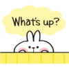 Spoiled Rabbit Contact 16