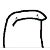 Seleccion Flork 19
