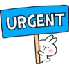 Spoiled Rabbit Contact B 17