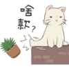 啥
。慕
款
?