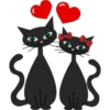 Kittens mix 16