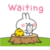 Spoiled Rabbit Contact B 19