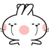 т