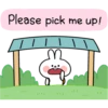 Spoiled Rabbit Contact B 21