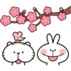 Spoiled Rabbit Spring 21