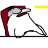 Выбор Flork 2 24