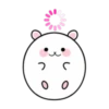 ☆C☆ ROUNDRound 13