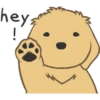 hey
!