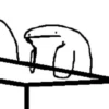 Selección Flork 3 20