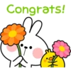 Spoiled Rabbit Simple Talk 20