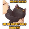 No quiero besos 12