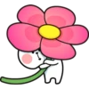 Spoiled Rabbit Small For You 20