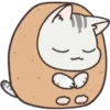 Gray Kitten 15