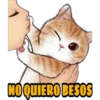 No quiero besos 13
