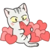 Gray Kitten 16