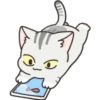 Gray Kitten 17