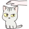 Gray Kitten 18