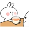 Spoiled Rabbit "Winter" 9