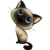 Kittens mix 22