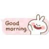 Good
morning.
