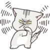 Gray Kitten 19