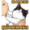 No quiero besos 19