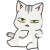 Gray Kitten 21
