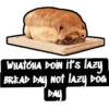 Funny Dog Memes 11