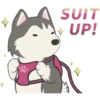SUIT
UP!