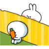 Spoiled Rabbit "Carrot" 24