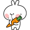 Spoiled Rabbit 5B 30