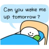 Can you wake me
up tomorrow?