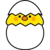 Plump Little Chick 30