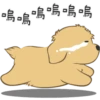 뚱뚱뚱