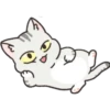 Gray Kitten 24