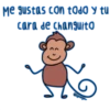 Me gustas con tOdo y tu
cara de changuito