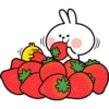 Spoiled Rabbit Spring 30