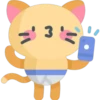 Cute cat 30