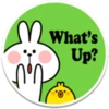 Spoiled Rabbit "Stickers" 5