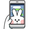Spoiled Rabbit Look B 6